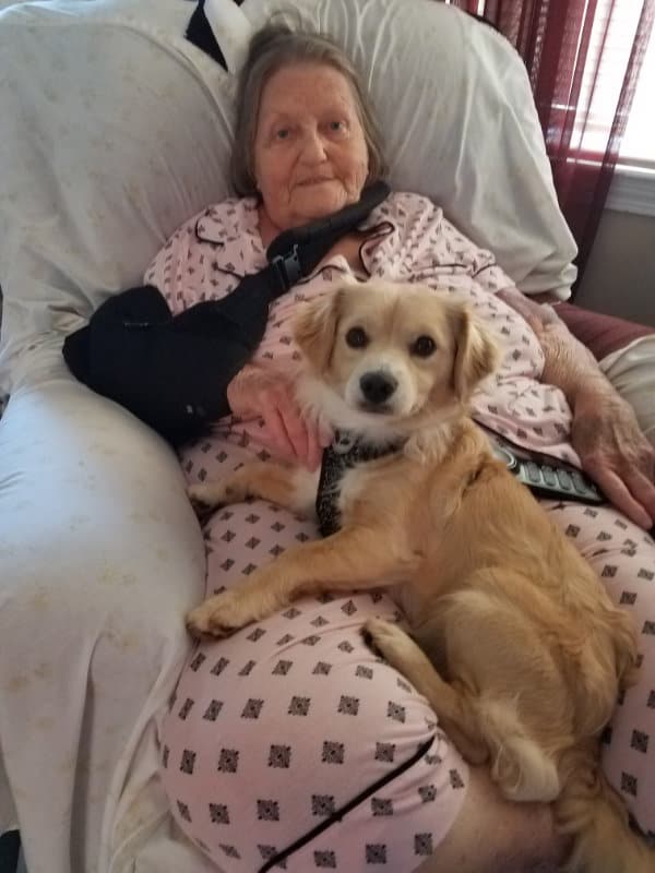 Dusty the dog, recovered from fear and pain with aconite and arnica, and his mom